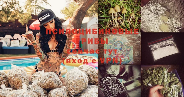 МДПВ Алексин