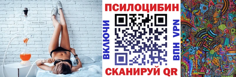 Купить закладки  Сертолово  Галлюциногенные грибы Magic Shrooms 